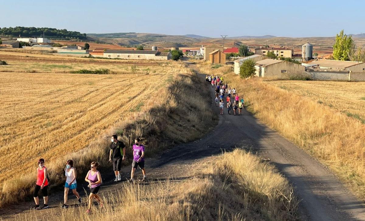 MUNIESA. CAMINA 01. ANDARINES EN LA BALSA NUEVA MUNIESA. CAMINA 01. ANDARINES EN LA BALSA NUEVA