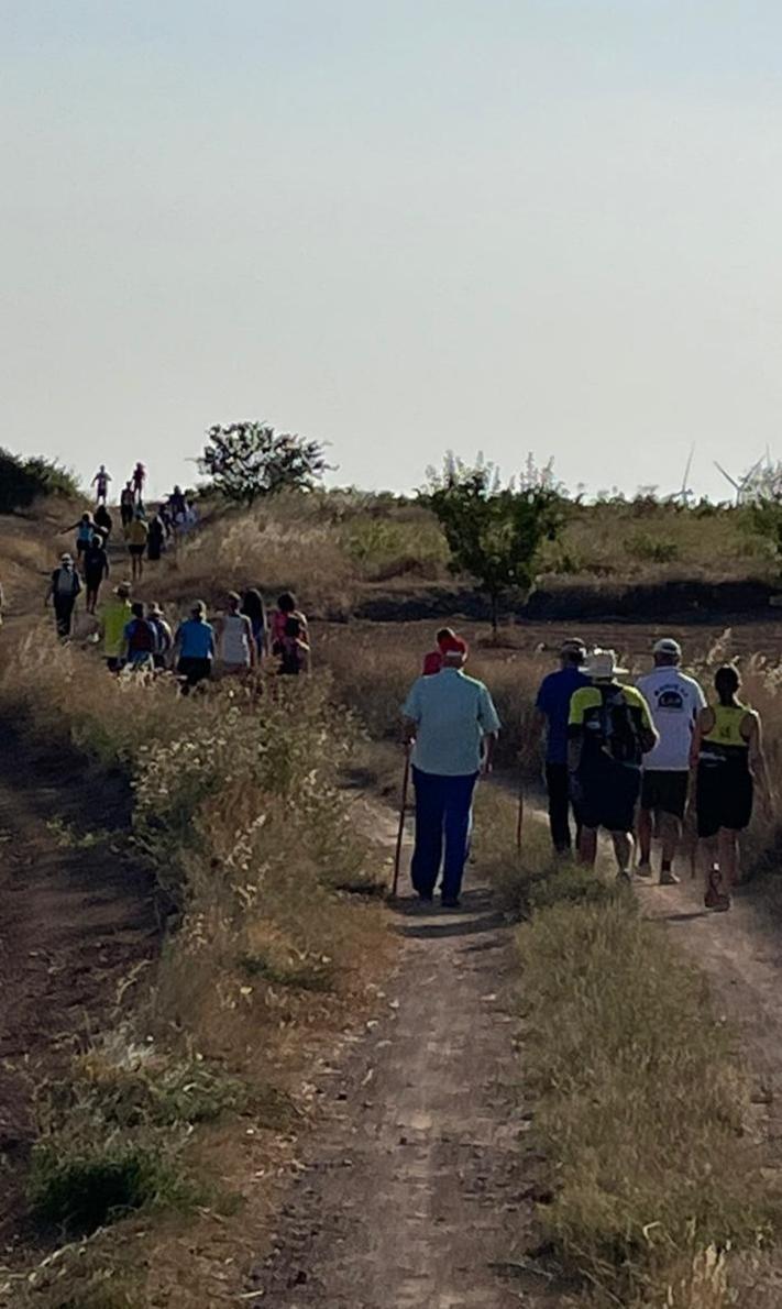 MUNIESA. CAMINA 01. ANDARINES EN LA BALSA NUEVA MUNIESA. CAMINA 01. ANDARINES EN LA BALSA NUEVA