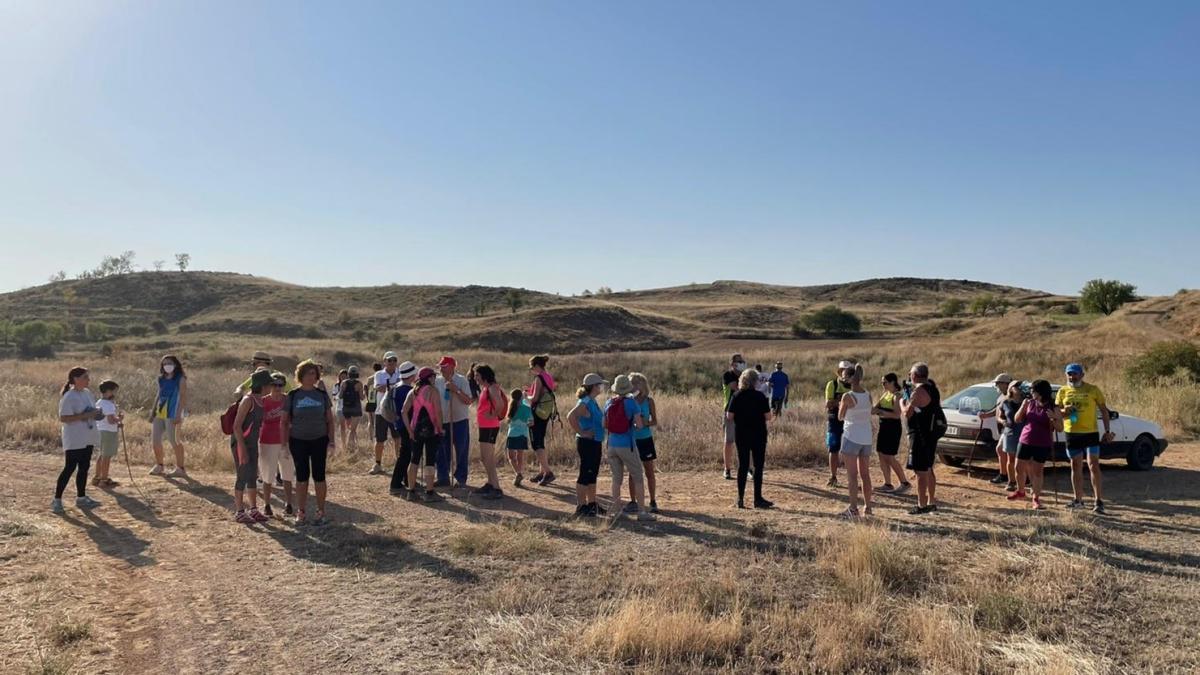 MUNIESA. CAMINA 01. ANDARINES EN LA BALSA NUEVA MUNIESA. CAMINA 01. ANDARINES EN LA BALSA NUEVA
