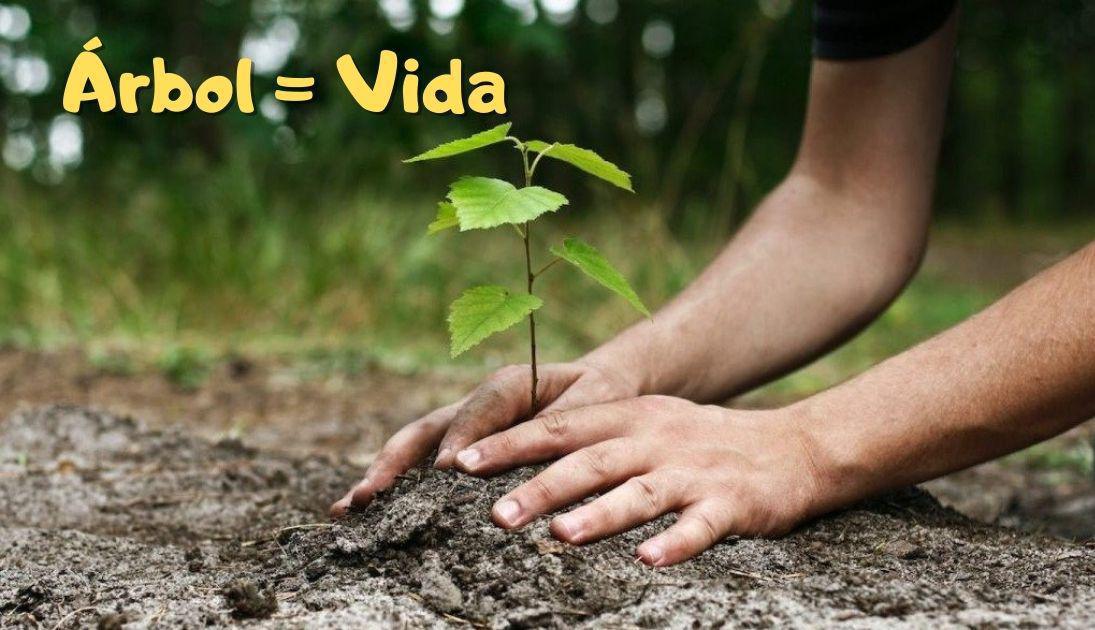 MUNIESA. FIESTA DEL ÁRBOL - 2022