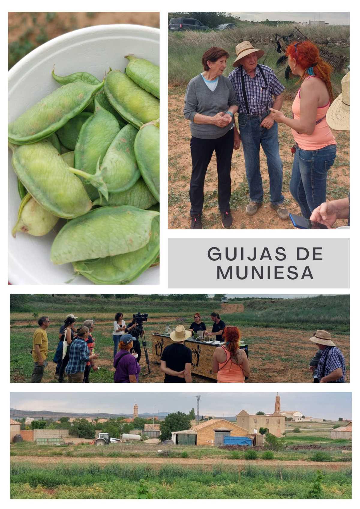 VIDEO. LAS GUIJAS DE MUNIESA VIDEO. LAS GUIJAS DE MUNIESA