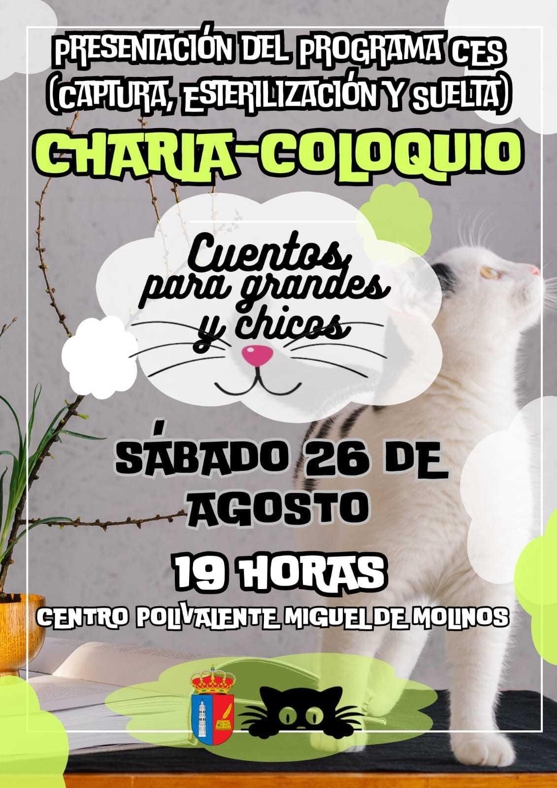 MUNIESA. COLONIAS DE GATOS