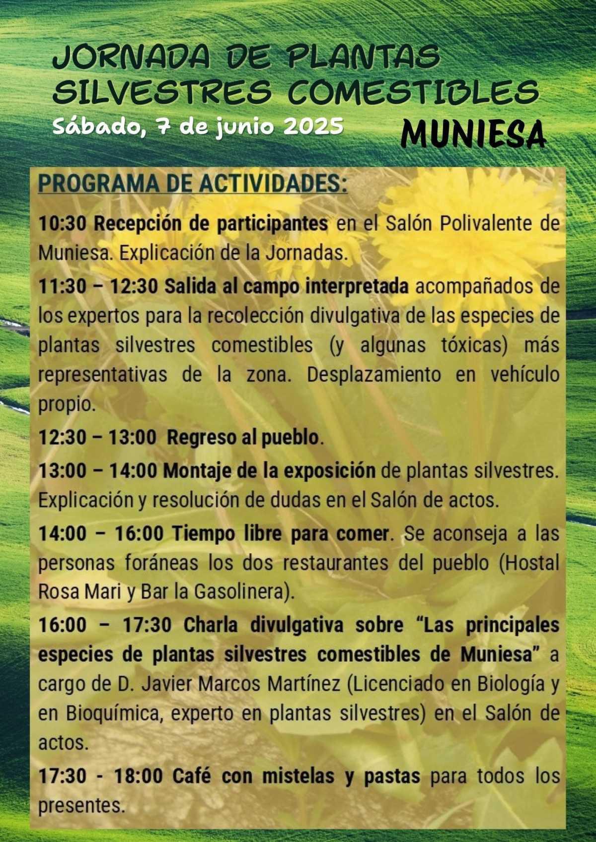 MUNIESA. PLANTAS Y HIERBAS SILVESTRES MUNIESA. PLANTAS Y HIERBAS SILVESTRES