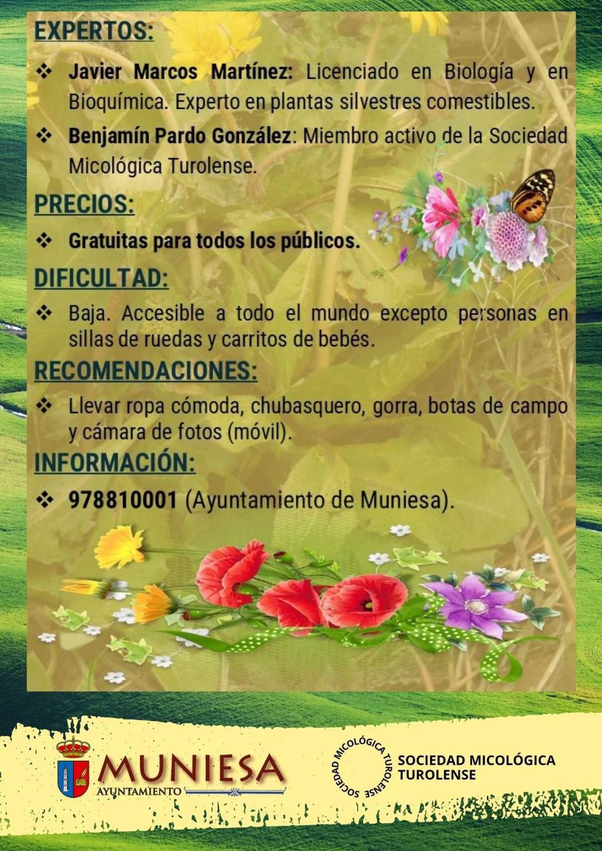 MUNIESA. PLANTAS Y HIERBAS SILVESTRES MUNIESA. PLANTAS Y HIERBAS SILVESTRES