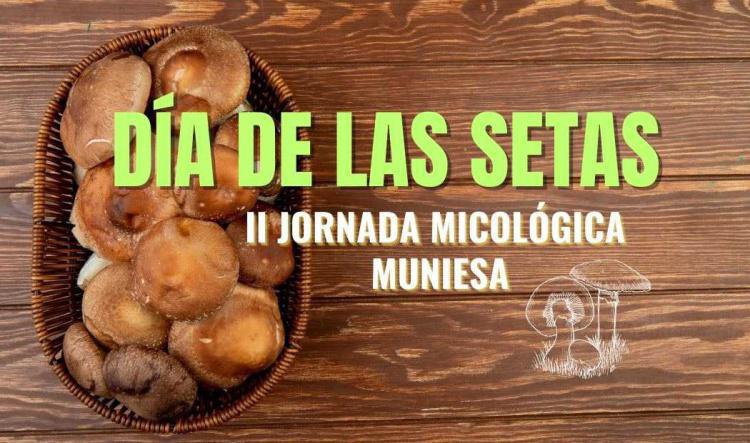 MUNIESA JORNADA DE LAS SETAS