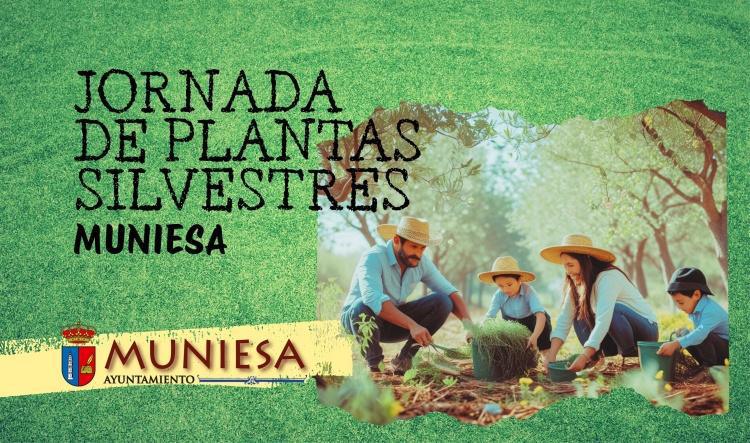 MUNIESA.  PLANTAS Y HIERBAS SILVESTRES 