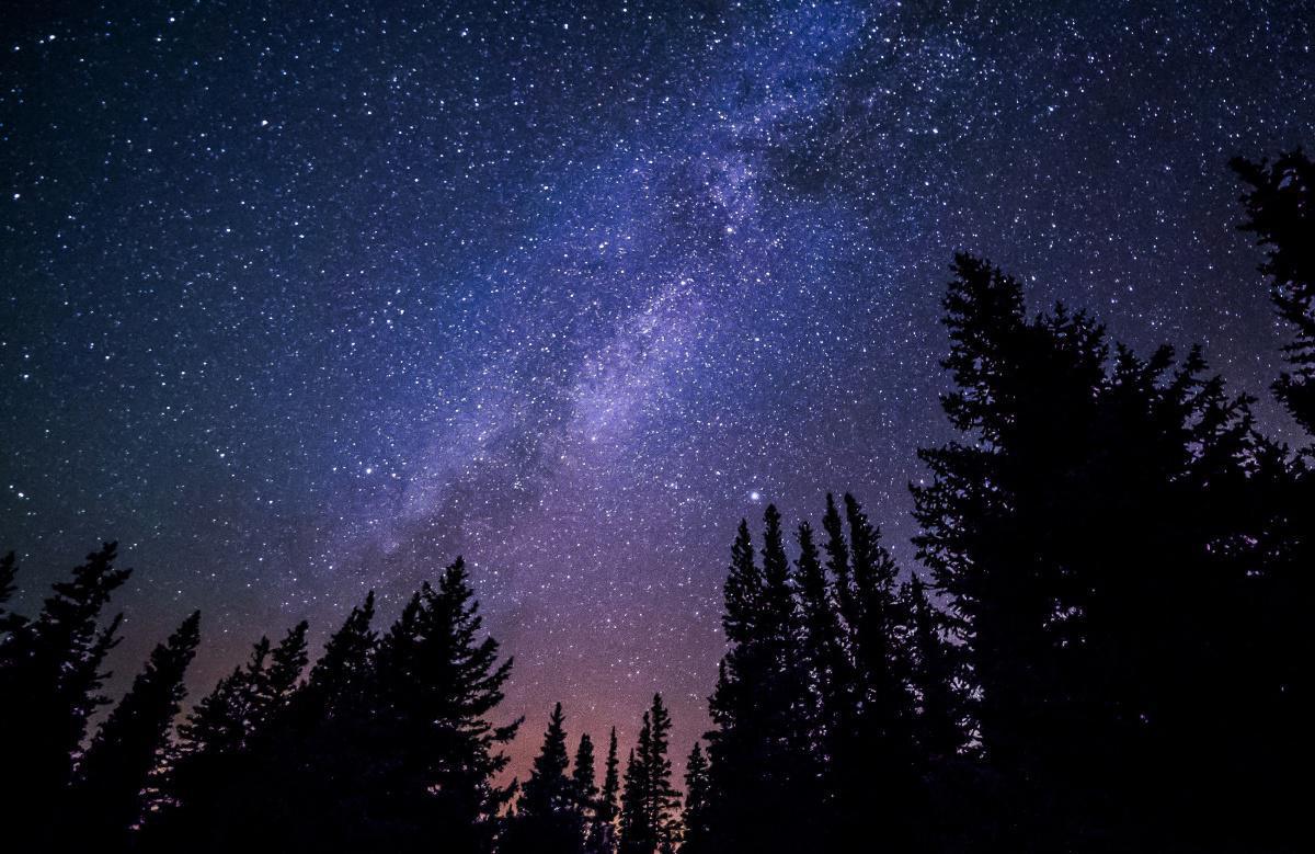 About Flapp About Flapp