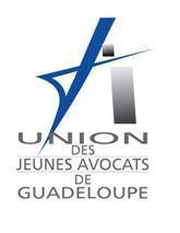 GUADELOUPE : Motion dénonçant les incidents graves survenus en Garde à Vue, le 13 Juillet 2012 