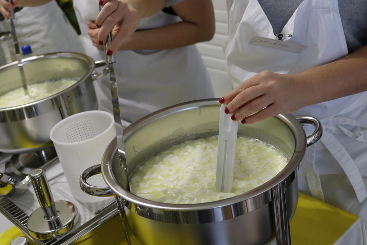 Käse selber machen in Lauben (Allgäu)