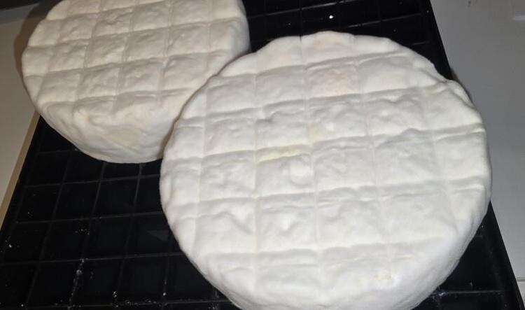 Mein Erster Camembert reift🥰