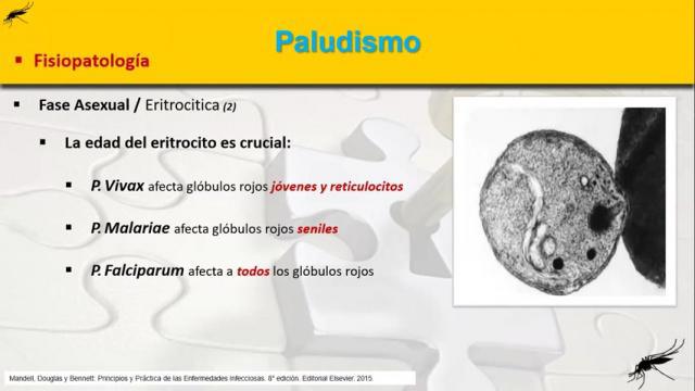 3. Paludismo