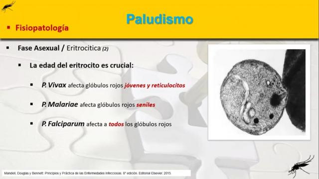 3. Paludismo