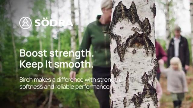 Södra : Birch – built for reliable performance