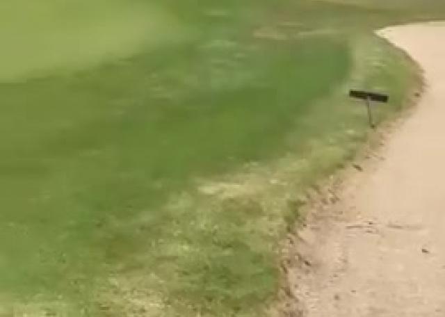 WhatsApp Video 2026-04-10 at 8.56.11 AM