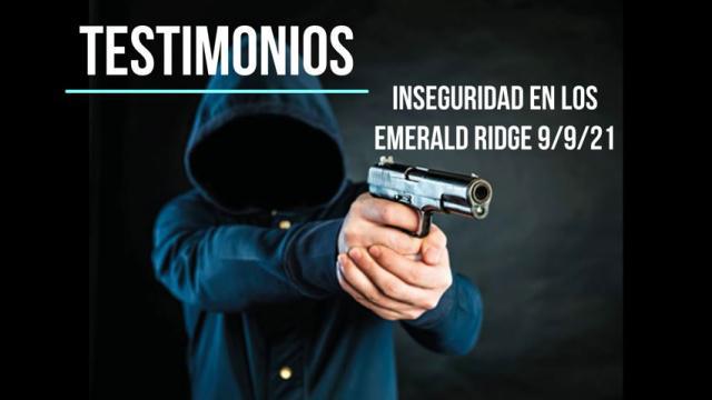 Artículo n°563