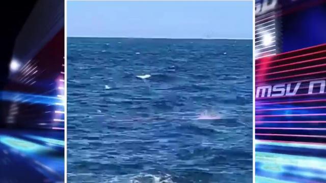 Recuperan restos humanos en la playa tras el ataque de un tiburon