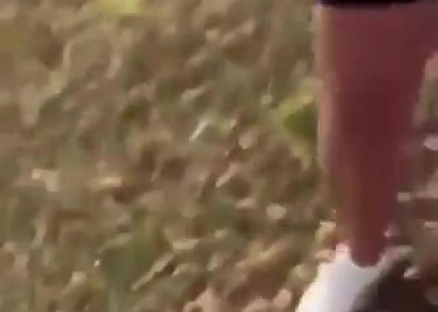 TRIFULCA ENTRE HISPANAS EN MEMPHIS