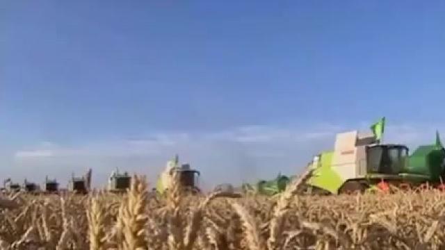 Первый Каспийский экономический форум В Туркменистане