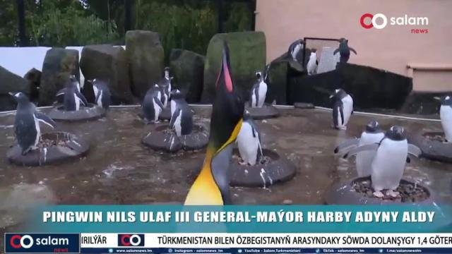 HEPDÄNIŇ HABARLARY I 27 awgust, 2023