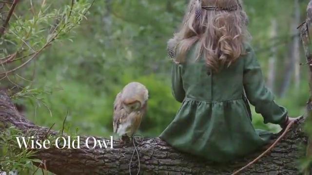 The Owl & The Garden Series