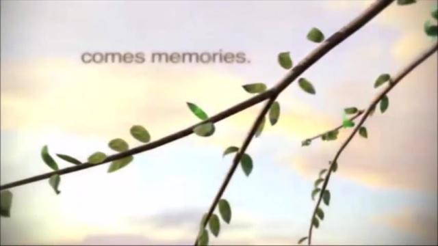 En Memoria de Mauro de la o