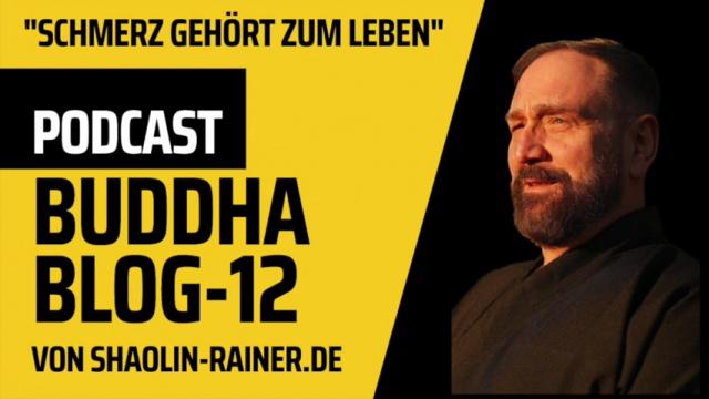 12-Schmerz gehört zum Leben - Buddha-Blog-Podcast-Buddhismus im Alltag