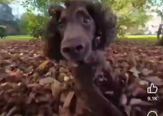 Making sure they don't miss the next great class at SECO! <<video>>