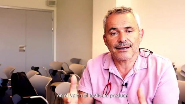 ¿Qué son los tumores del estroma?