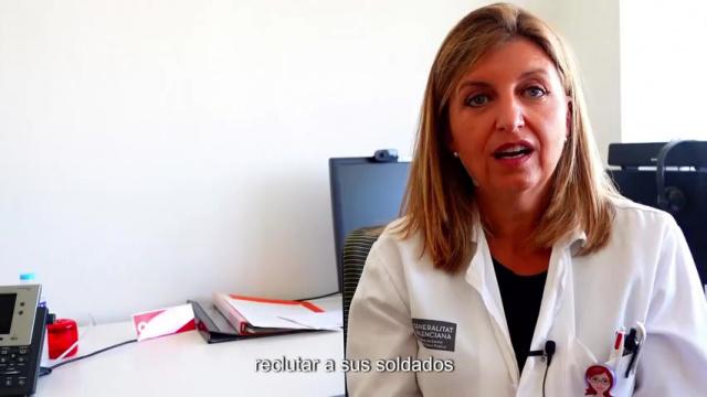 ¿Qué es el sistema inmunitario y qué influencia tiene en el cáncer de mama?