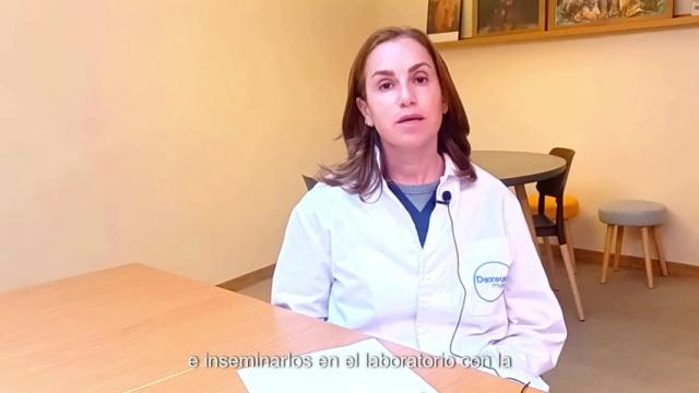 Fertilización in vitro (FIV) con Diagnóstico Genético Preimplantacional (DGP)