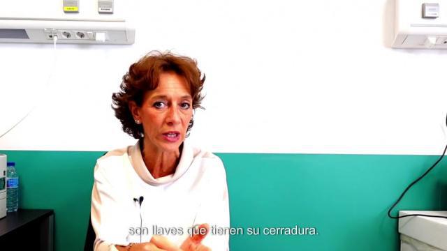 Clases de inmunoterapia: anticuerpos monoclonales.