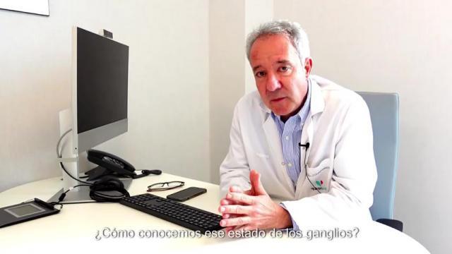 ¿Qué son los ganglios linfáticos?