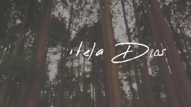 Serie: LÁGRIMAS EN SU REDOMA #6