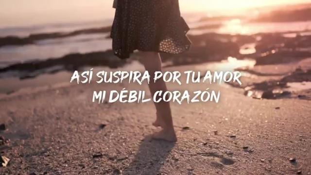 Serie: LÁGRIMAS EN SU REDOMA #8