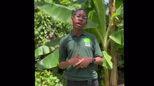 St.Mary's Academy: Preparedness SNAP Challenge