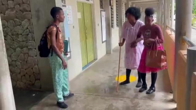 Pierre Charles Secondary School Entry 3: Preparedness SNAP Challenge