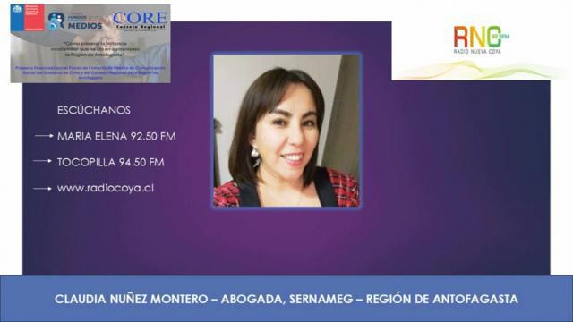 Entrevista: Claudia Nuñez - Abogada - Servicio Nacional de la Mujer y Equidad de Género - Región de Antofagasta