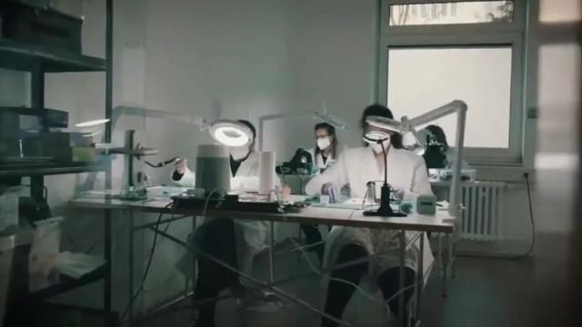 ابتكار حشرات بيولوجية إلكترونية يفتح مرحلة جديدة في التجسس العسكري الألماني