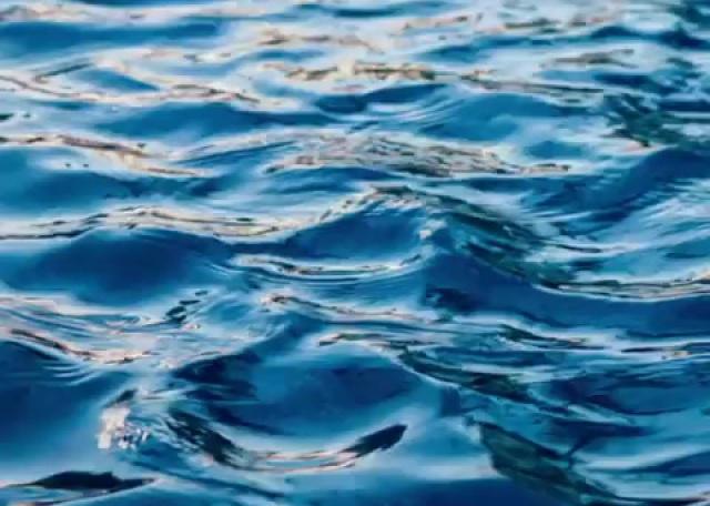 ÚLTIMO DÍA DE PISCINA 31 DE AGOSTO