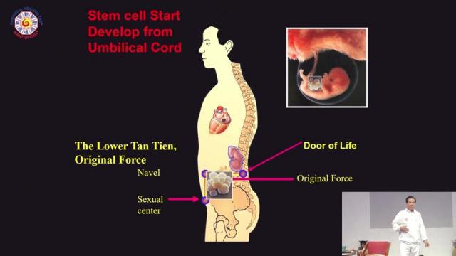 3. Stem Cell Qi Gong