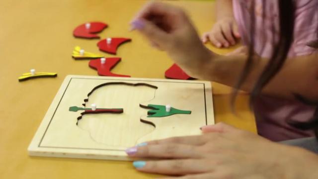 Culture  Lesson 2 * Flower Puzzle 