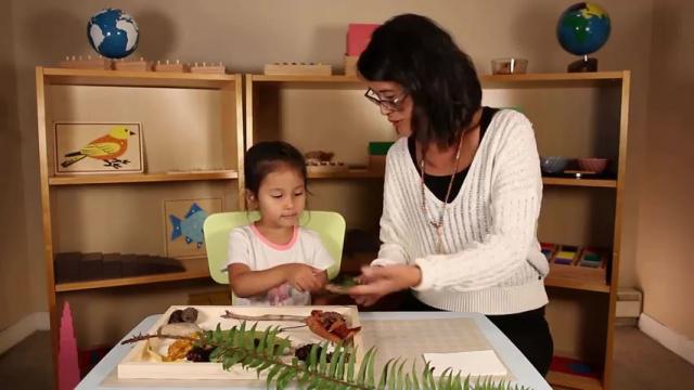 Culture Lesson 4 * Nature Table 