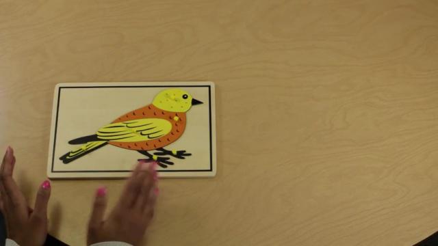 Culture Lesson 5 * Bird Puzzle