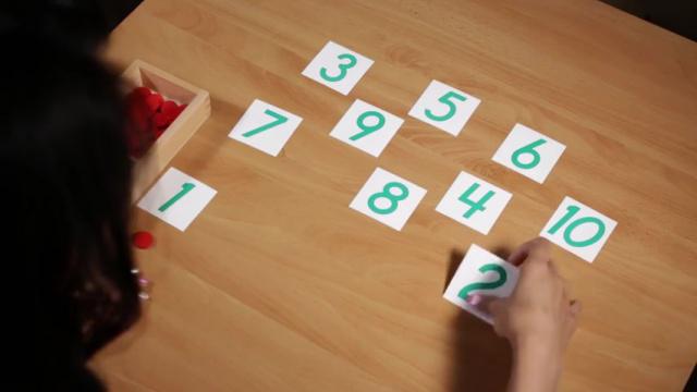 Math Lesson 14 * Cards & Counters