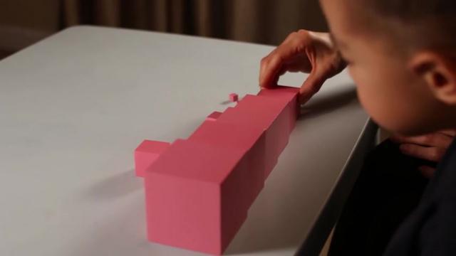 Sensorial Lesson 17 - Pink Tower 2