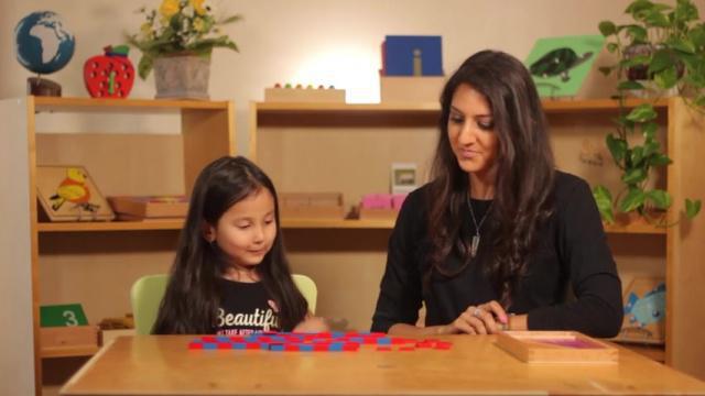 Math Lesson 12 * Number Rods & Numerals 