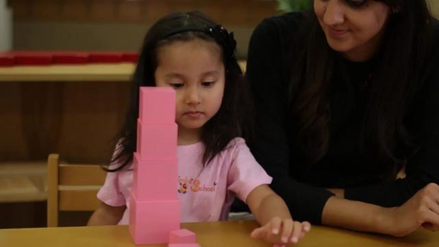 Sensorial - Pink Tower, Redrods, Brownstair Purpose