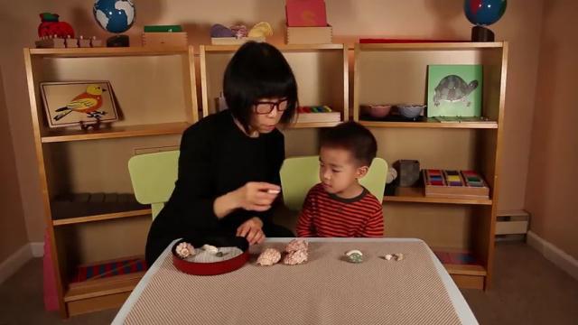 Sensorial Lesson 14 * Sorting by Size 