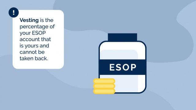 What is ESOP Vesting...??? (video)