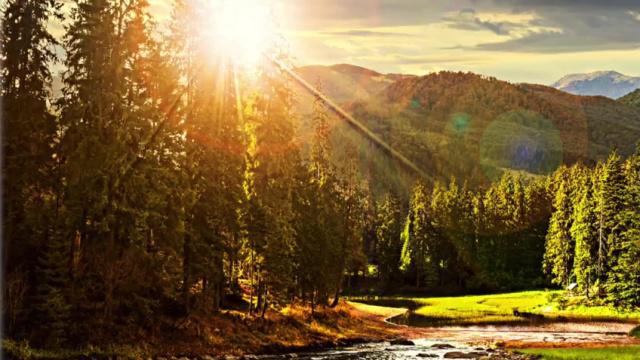 7. MEDITATION: Begin Again ~ A Mindful Journey of Letting Go to Joy